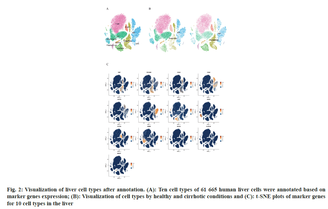 IJPS-Visualization