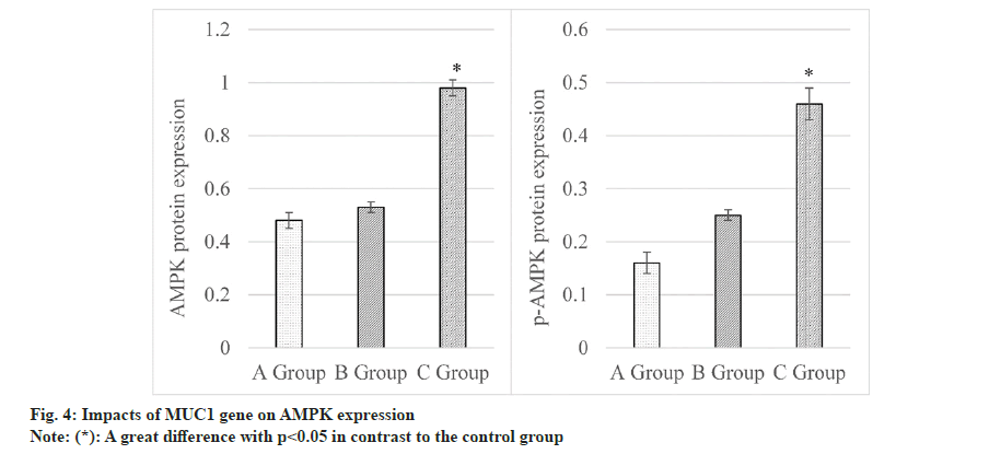 IJPS-ampk-expression