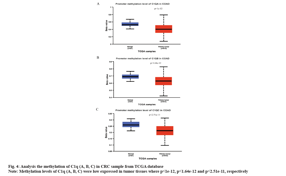 IJPS-analysis-methylation