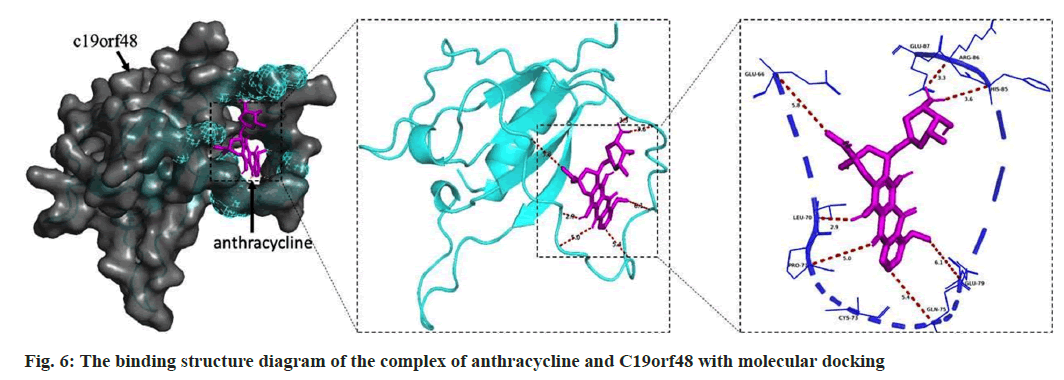 IJPS-anthracycline