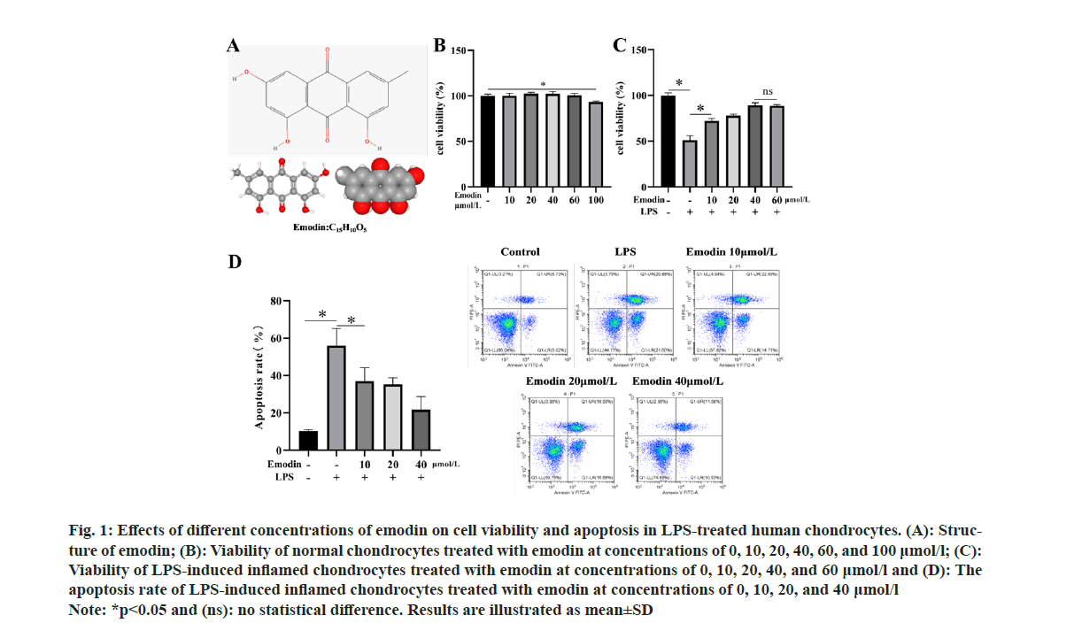 IJPS-apoptosis
