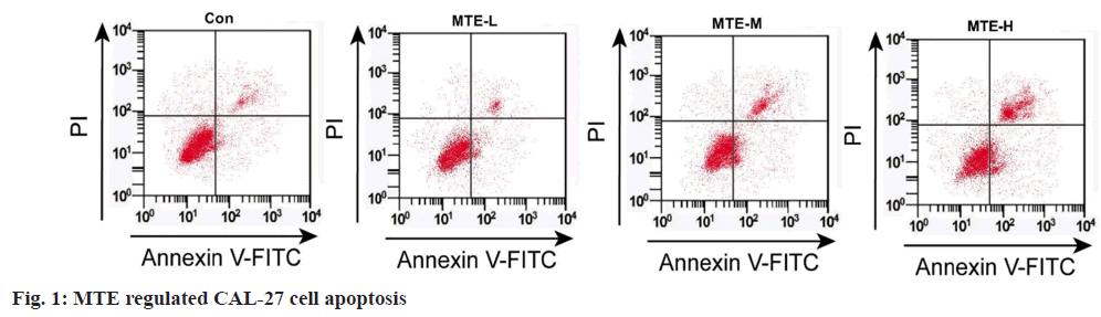 IJPS-apoptosis