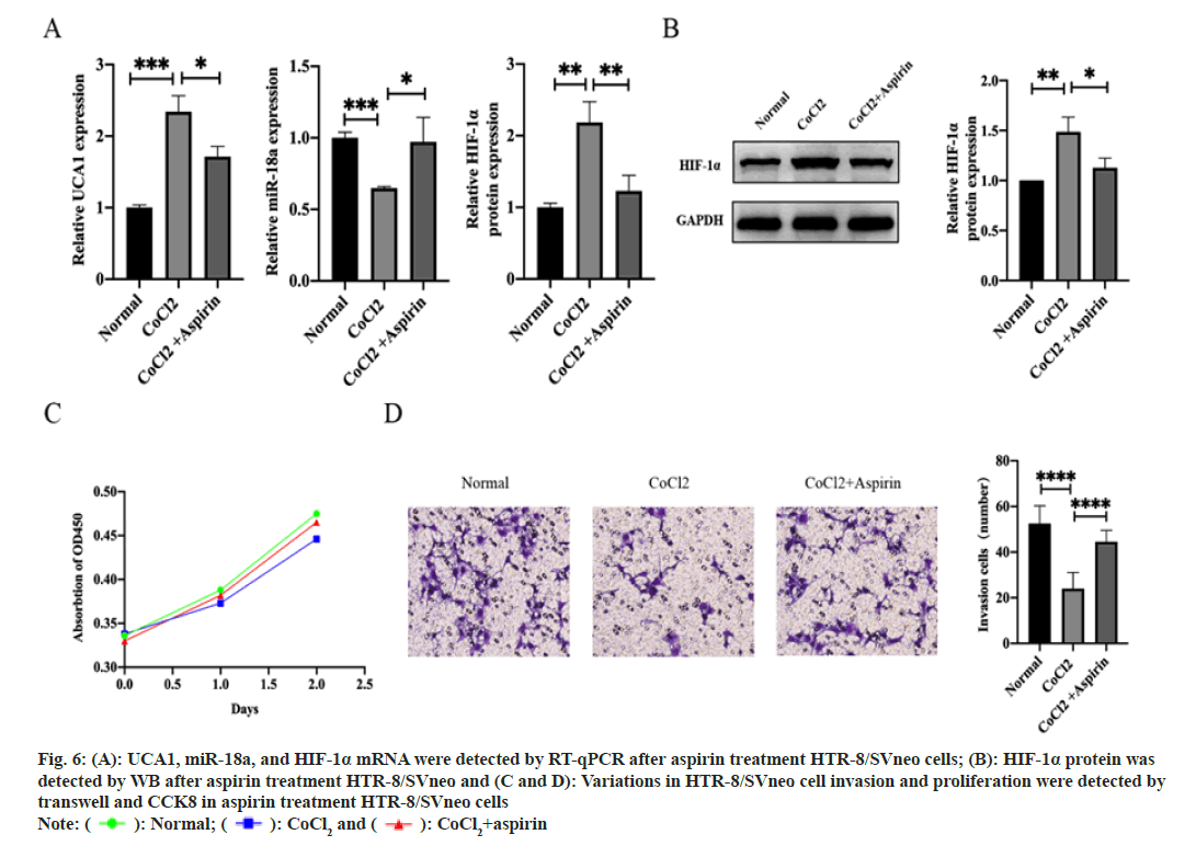 IJPS-aspirin-treatment