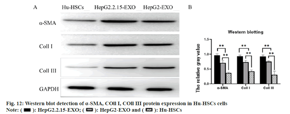 IJPS-blot-detection