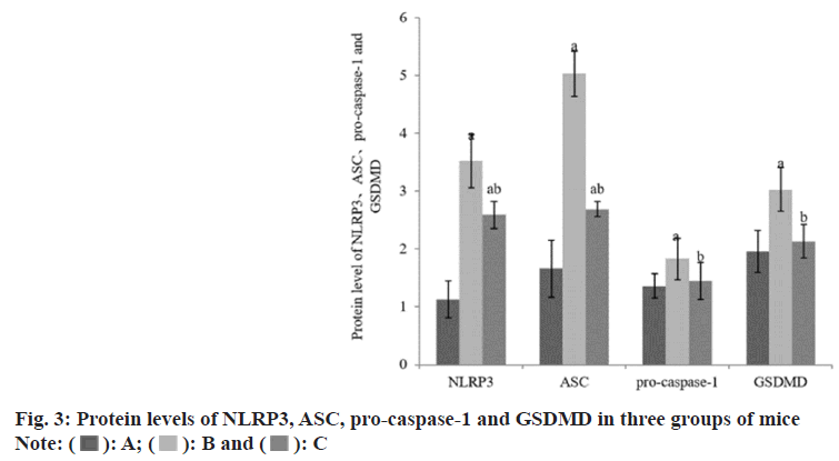 IJPS-caspase