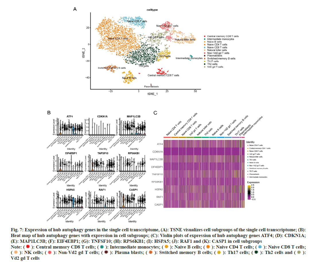 IJPS-cell-transcriptome