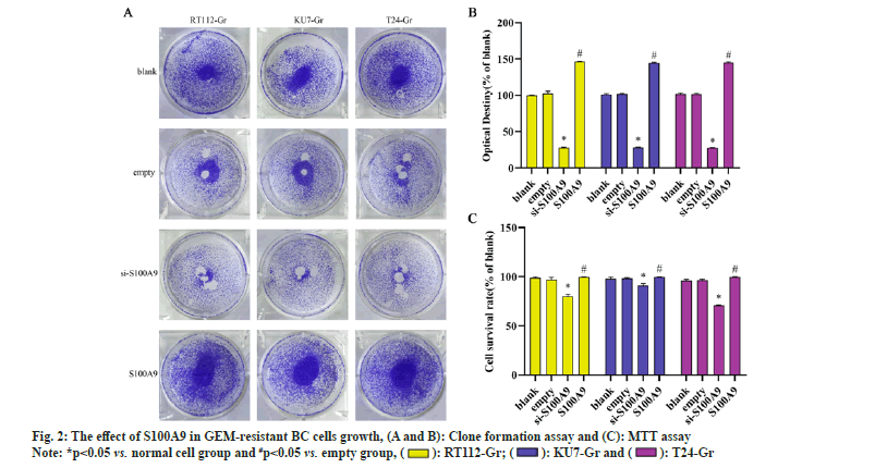 IJPS-cells-growth
