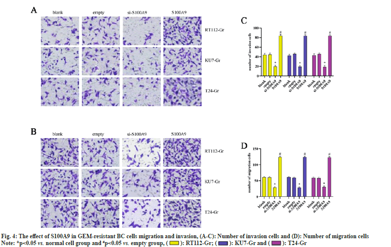 IJPS-cells-migration