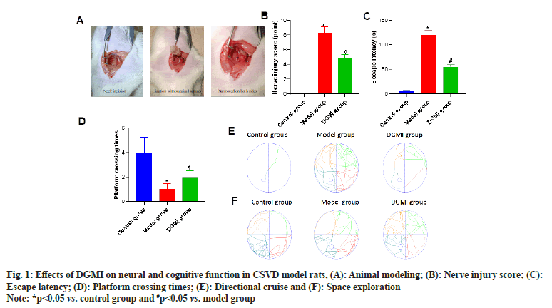 IJPS-cognitive-function