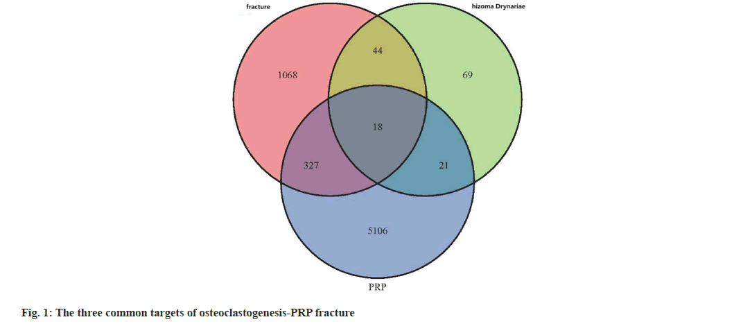 IJPS-common-targets