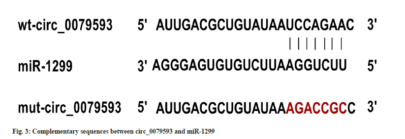 IJPS-complementary-sequences