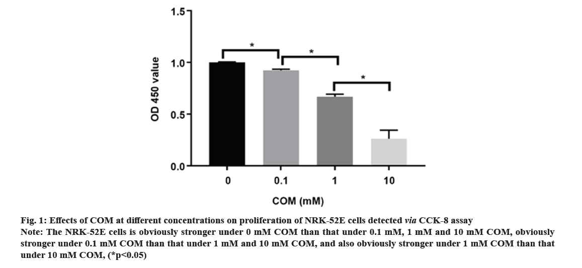 IJPS-concentrations