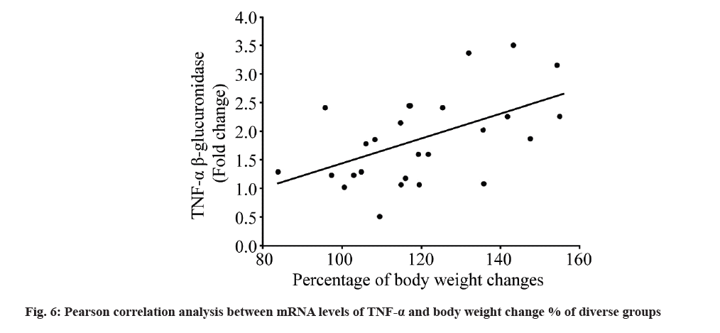 IJPS-correlation