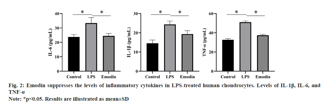 IJPS-cytokines