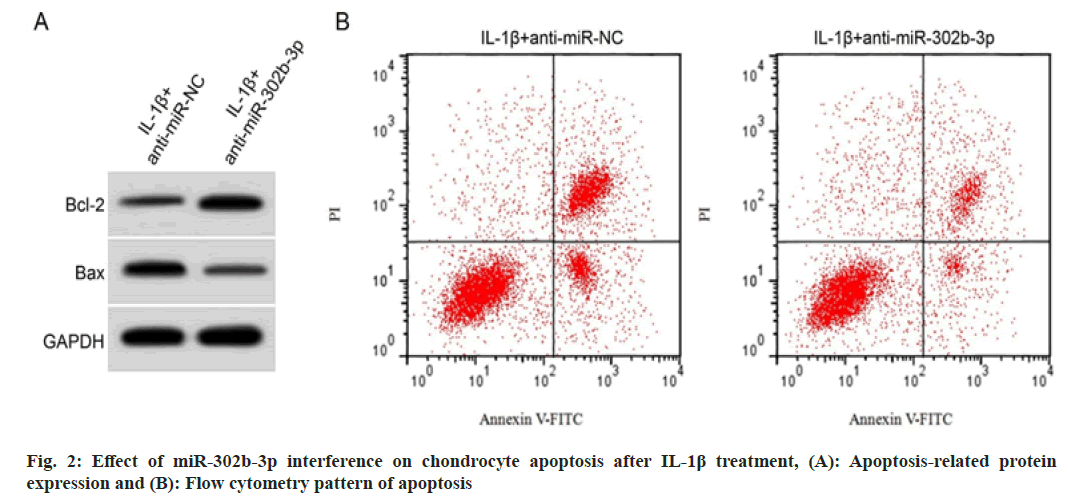 IJPS-cytometry