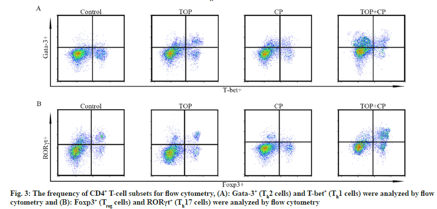 cytometry