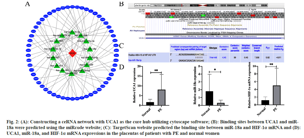 IJPS-cytoscape-software