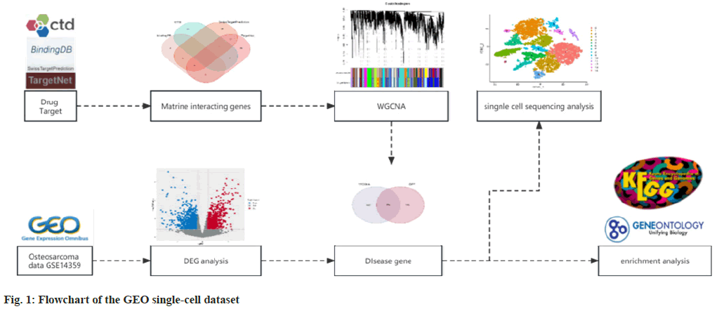 dataset