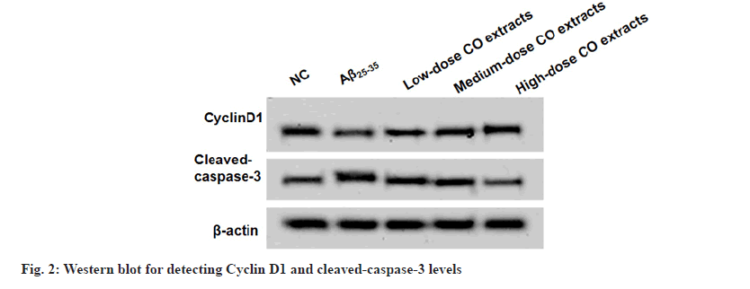 IJPS-detecting