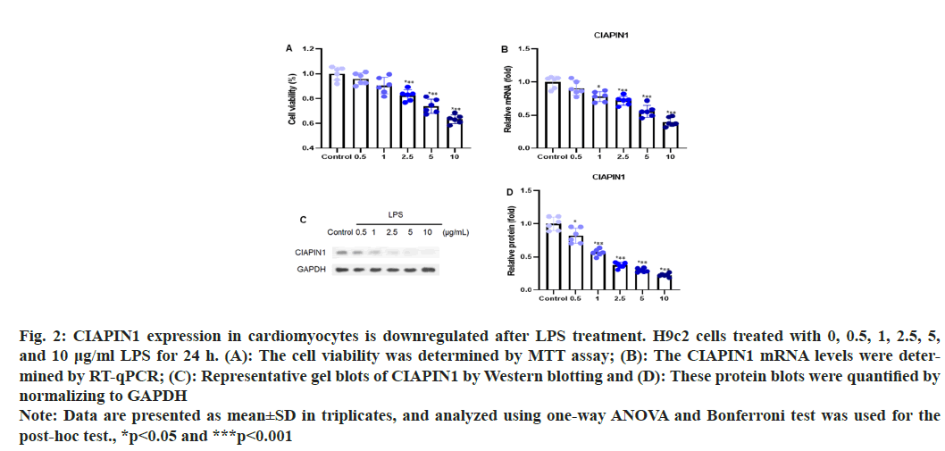 IJPS-downregulated