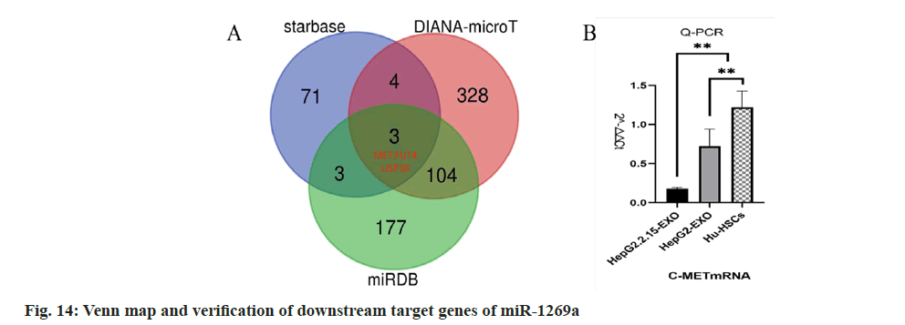 IJPS-downstream-target