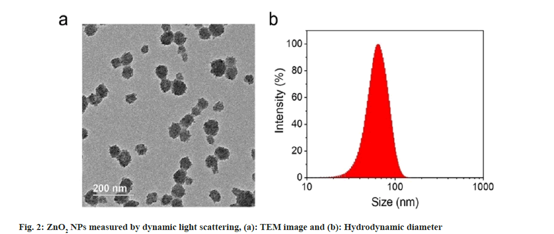 IJPS-dynamic-light