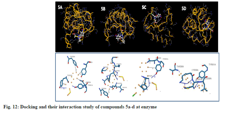 enzyme