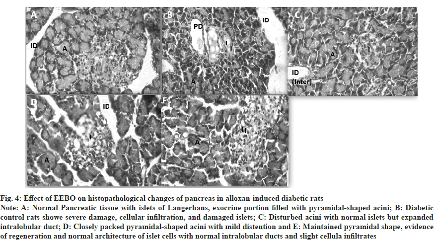 histopathological
