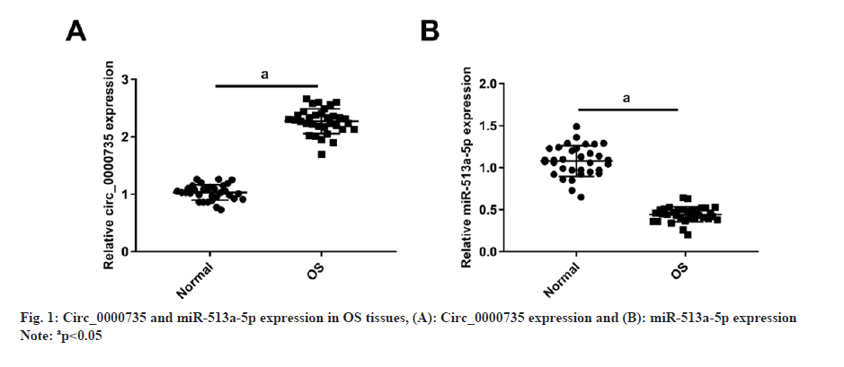 IJPS-expression