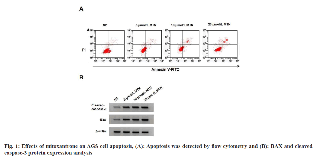 IJPS-flow-cytometry