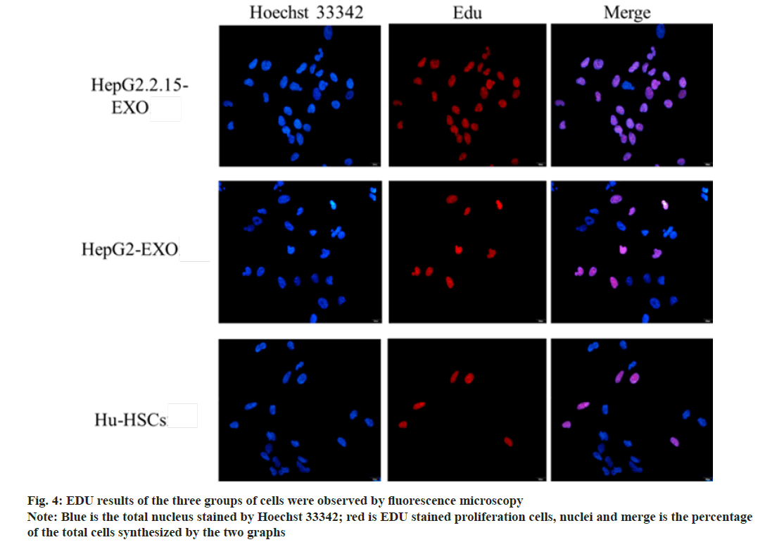 IJPS-fluorescence-microscopy