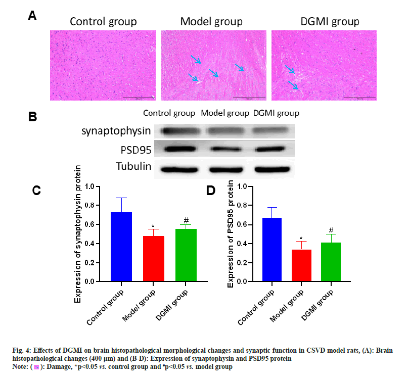 IJPS-histopathological