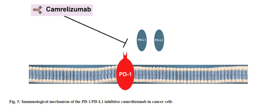 IJPS-inhibitor-camrelizumab