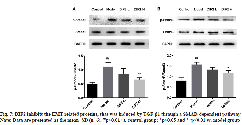 IJPS-inhibits