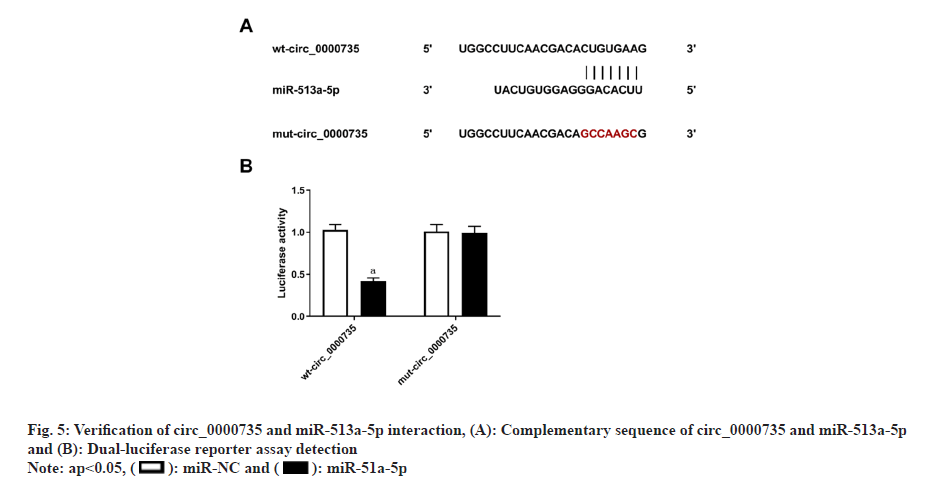 IJPS-interaction