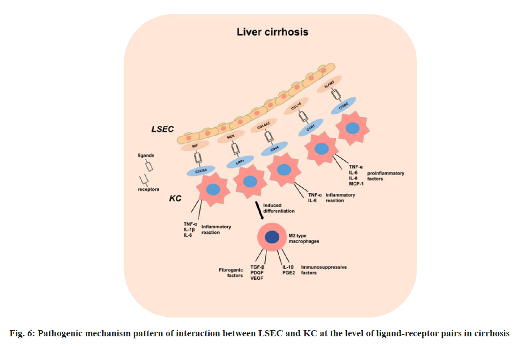 IJPS-interaction