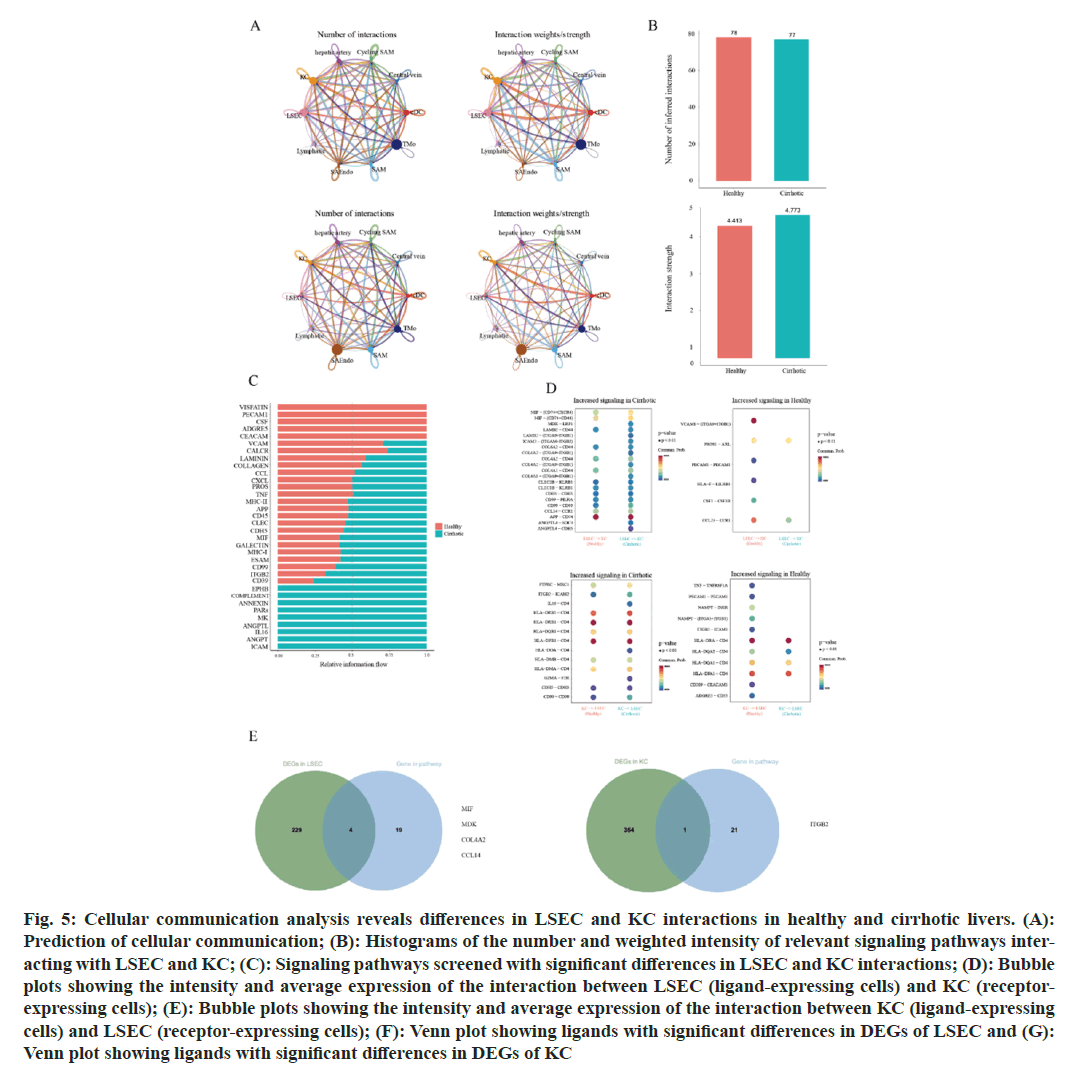 IJPS-interactions