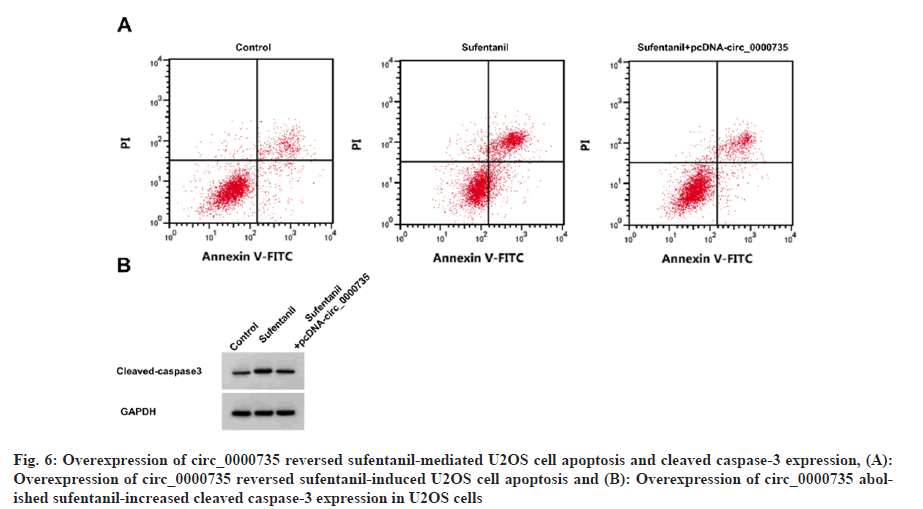 IJPS-mediated