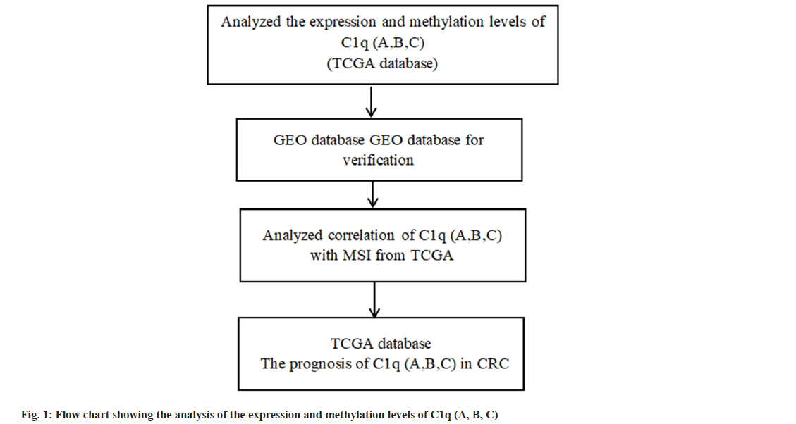 IJPS-methylation