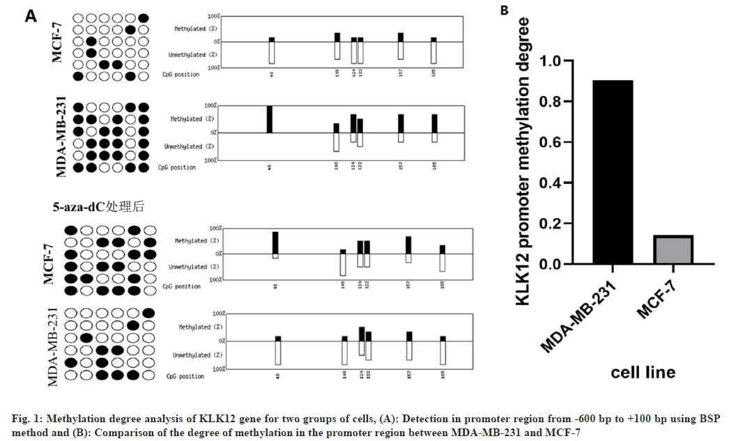 IJPS-methylation