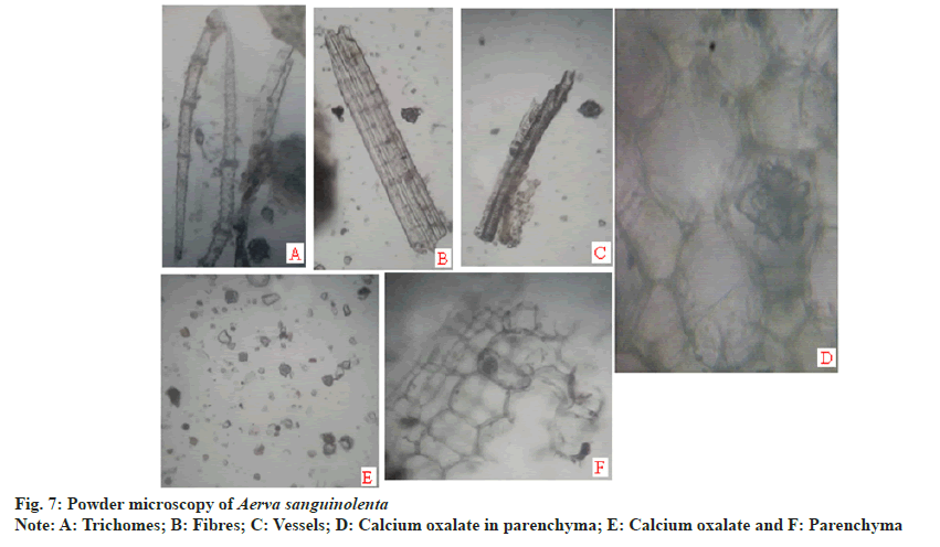 IJPS-microscopy