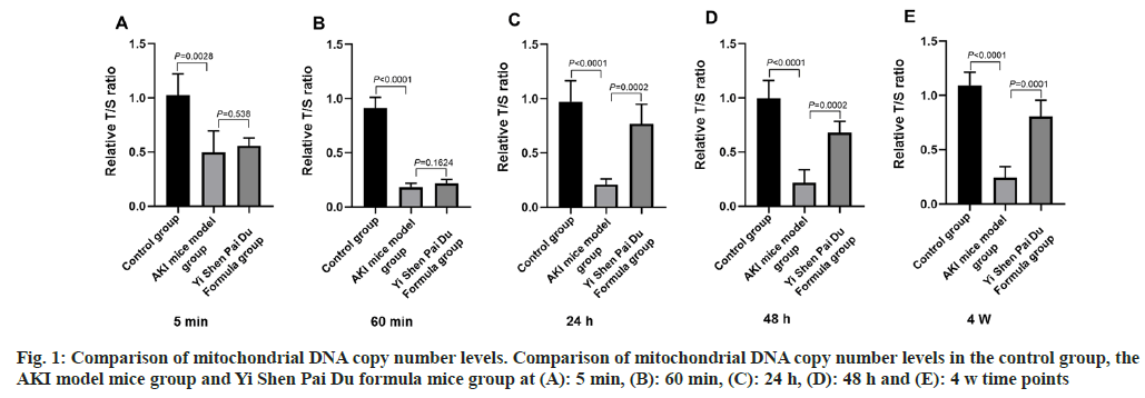 IJPS-mitochondrial