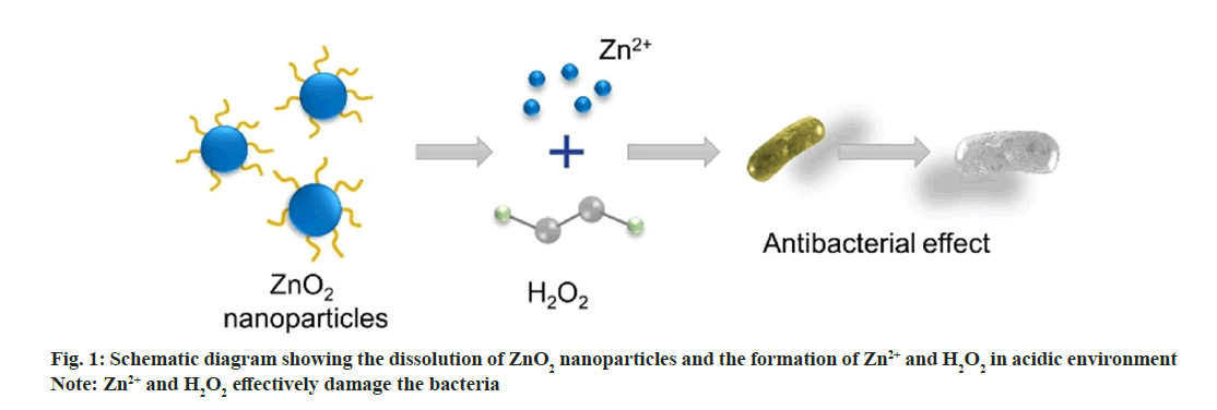 IJPS-nanoparticles