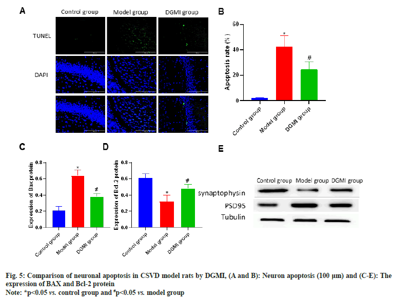 IJPS-neuronal-apoptosis