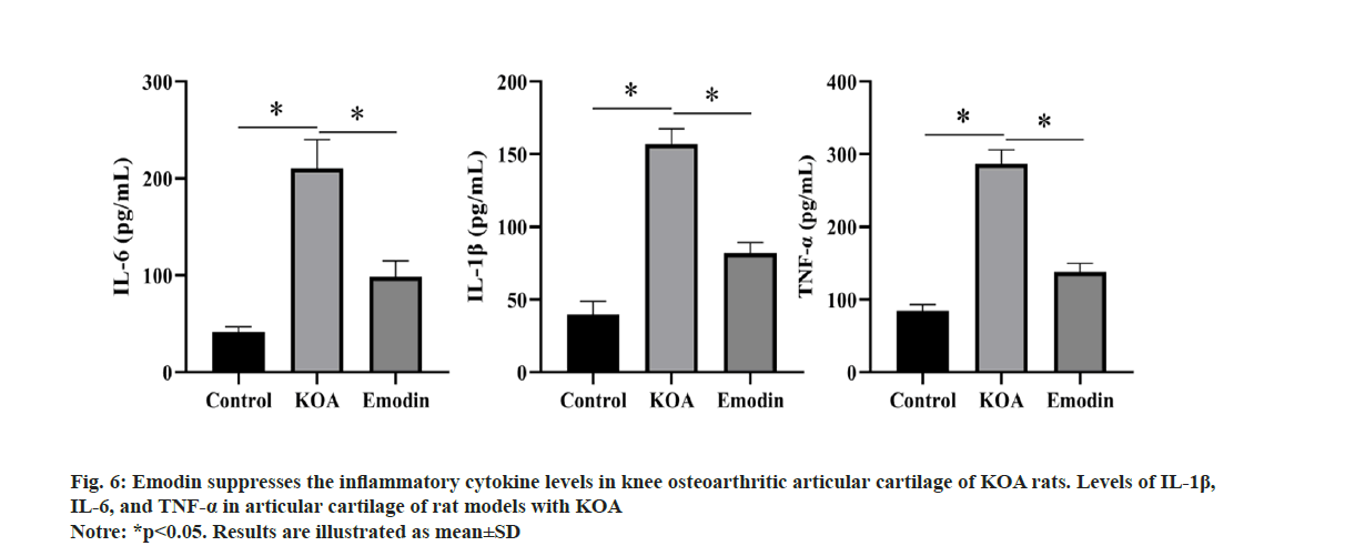IJPS-osteoarthritic