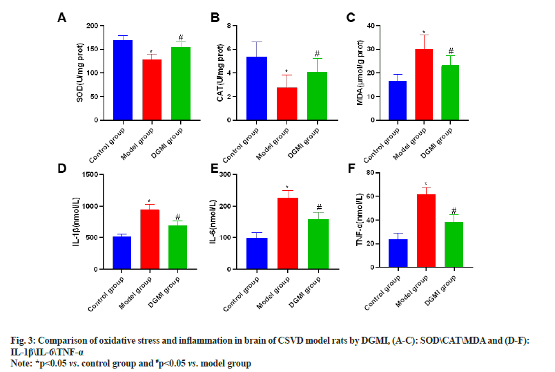 IJPS-oxidative-stress