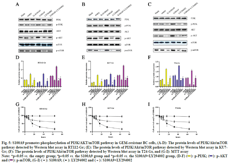 IJPS-phosphorylation