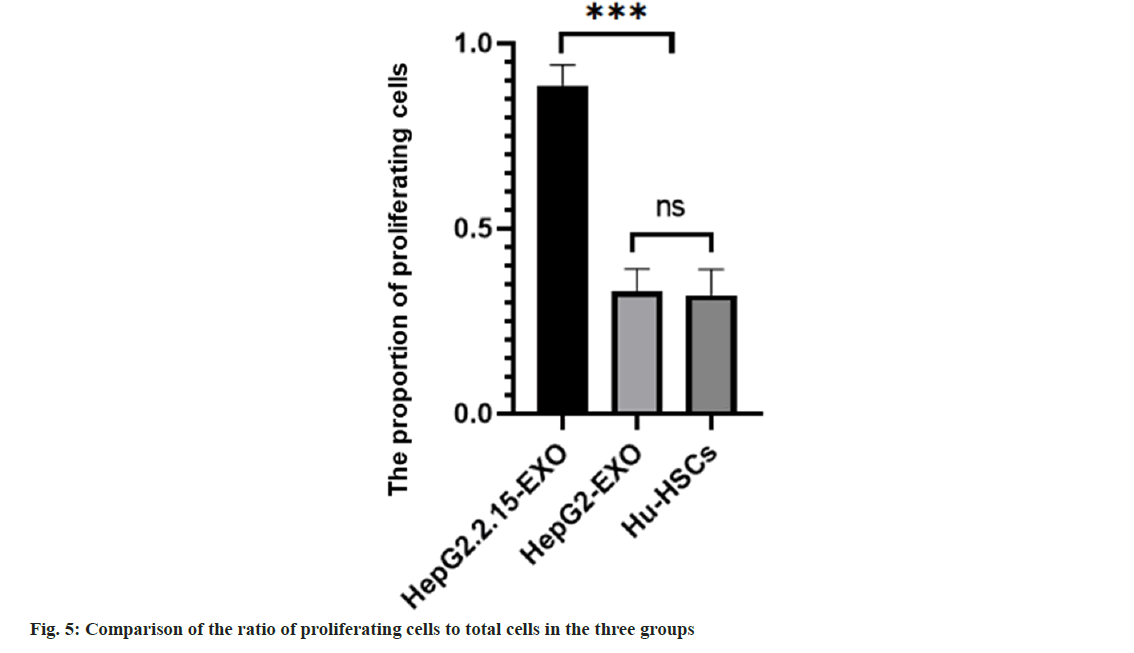 IJPS-proliferating-cells