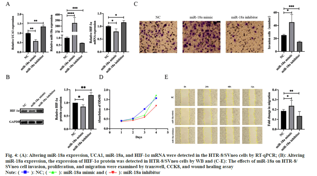 IJPS-proliferation