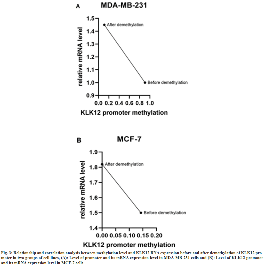 IJPS-promoter